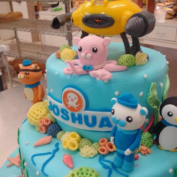 Octonauts Birthday Cake 541