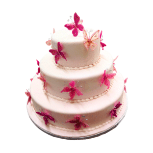 Butterfly Cake 452
