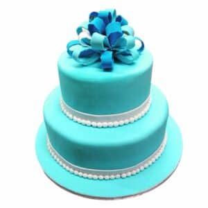Turquoise 2-Tier Cake 506