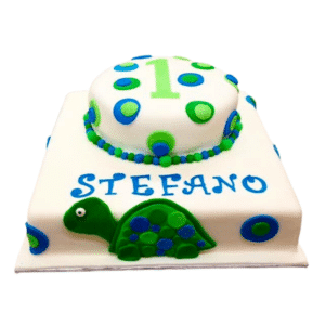 Turtle Birthday Cake 502