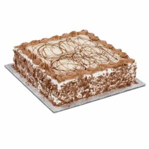 Medium Square Domino Cake